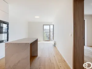 Pronájem bytu 2+kk, Brandýs nad Labem-Stará Boleslav - Brandýs nad Labem, Dřevčická, 52 m2