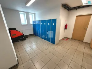 Prodej výrobních prostor, Aš, Dlouhá, 2849 m2