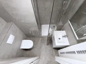 Pronájem bytu 1+kk, Praha - Braník, Údolní, 24 m2