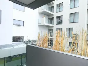 Pronájem bytu 4+kk, Praha - Žižkov, Prokopova, 91 m2