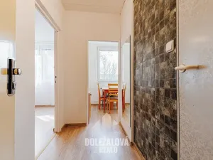 Pronájem bytu 1+1, Jihlava, Telečská, 32 m2