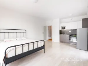 Pronájem bytu 1+kk, Praha - Lhotka, U Nového dvora, 31 m2