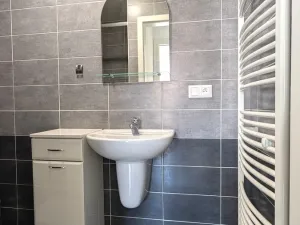 Pronájem bytu 1+kk, Olomouc, Wolkerova, 26 m2