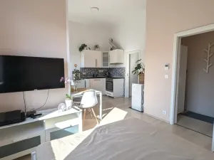 Pronájem bytu 1+kk, Olomouc, Wolkerova, 26 m2
