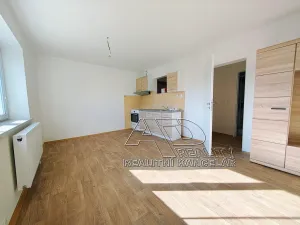 Pronájem bytu 1+1, České Budějovice, 44 m2