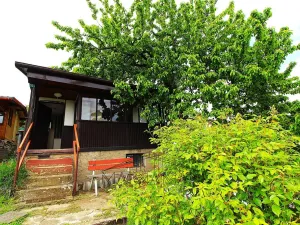 Prodej chaty, Kadaň, Zahradní, 28 m2