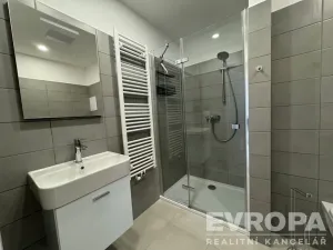 Prodej bytu 1+kk, Plzeň - Újezd, Safírová, 30 m2