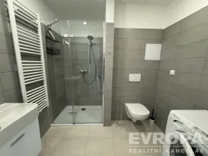 Prodej bytu 1+kk, Plzeň - Újezd, Safírová, 30 m2