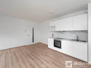 Pronájem bytu 1+kk, Přezletice, Pod Zahrady, 40 m2