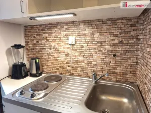 Pronájem bytu 1+kk, Praha - Vinohrady, Jana Masaryka, 28 m2