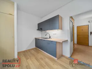 Pronájem bytu 1+1, Vysoké Mýto - Litomyšlské Předměstí, U Potoka, 38 m2