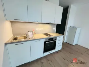 Pronájem bytu 1+kk, Plzeň - Jižní Předměstí, U Borského parku, 24 m2