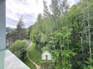 Pronájem bytu 2+1, Děčín, Na Pěšině, 64 m2