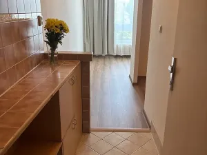 Prodej bytu 1+kk, Frýdek-Místek, 17. listopadu, 23 m2