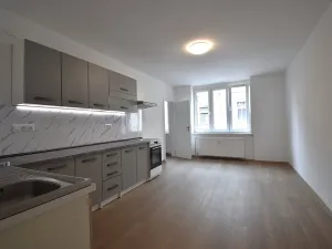 Pronájem bytu 3+kk, Plzeň, Čelakovského, 68 m2