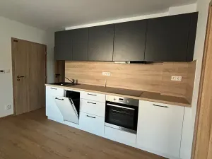 Pronájem bytu 3+1, Olomouc, 150 m2