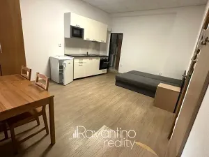 Pronájem bytu 1+kk, Brno, Pražská, 20 m2