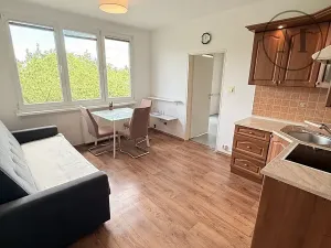 Pronájem bytu 2+kk, České Budějovice, J. Opletala, 38 m2