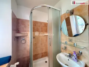 Pronájem bytu 1+1, Děčín - Děčín III-Staré Město, Litoměřická, 33 m2
