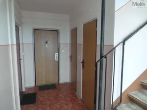 Pronájem bytu 1+kk, Most, Lidická, 33 m2
