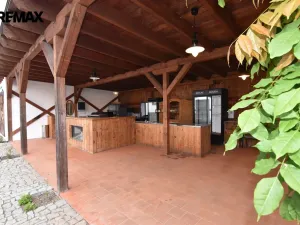 Prodej restaurace, Dolany - Véska, 382 m2