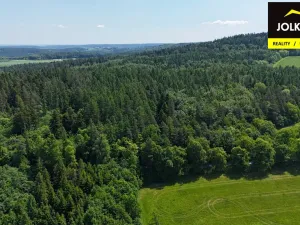 Prodej lesa, Vršovice, 13182 m2