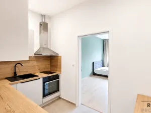 Pronájem bytu 1+kk, Praha - Žižkov, Milíčova, 34 m2