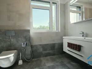 Pronájem bytu 4+kk, Herink, U Kovárny, 165 m2
