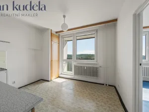 Prodej bytu 1+1, Brno, Horácké náměstí, 44 m2