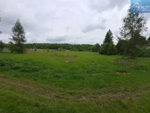 Prodej chalupy, Konice - Křemenec, 280 m2