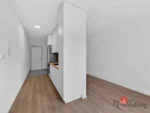 Pronájem bytu 1+kk, Plzeň - Východní Předměstí, 27 m2