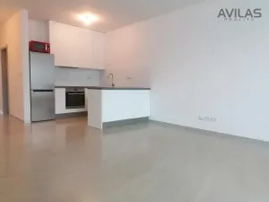 Pronájem bytu 2+kk, Benešov, Tyršova, 64 m2