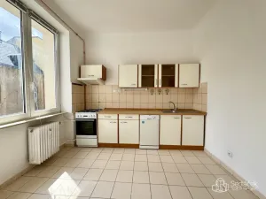 Pronájem bytu 1+1, 53 m2