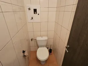 Pronájem bytu 3+kk, Příbram - Příbram III, Ryneček, 60 m2