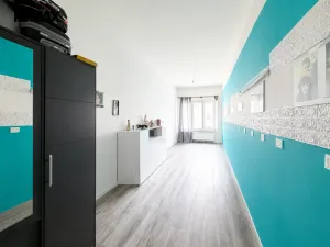 Prodej vícegeneračního domu, Březnice, Náměstí, 414 m2