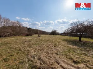Prodej pozemku pro bydlení, Sadov - Lesov, 2500 m2