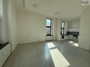 Pronájem bytu 3+kk, Most, Čsl. armády, 114 m2
