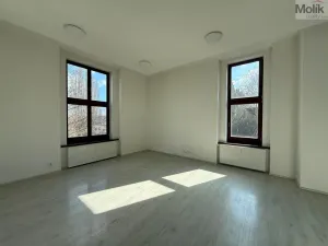 Pronájem bytu 3+kk, Most, Čsl. armády, 114 m2