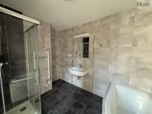 Pronájem bytu 3+kk, Most, Čsl. armády, 114 m2