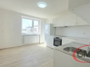 Pronájem bytu 3+1, Ledčice, 90 m2