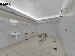 Pronájem ubytování, Vysoká Srbská, 900 m2