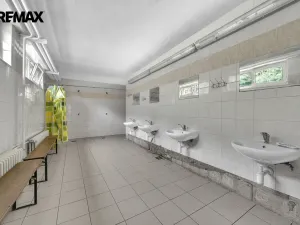 Pronájem ubytování, Vysoká Srbská, 900 m2