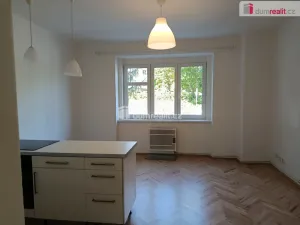 Pronájem bytu 2+kk, Praha - Bubeneč, Ve struhách, 45 m2