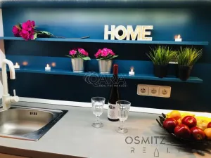 Pronájem bytu 1+1, Praha - Vinohrady, Na Folimance, 40 m2