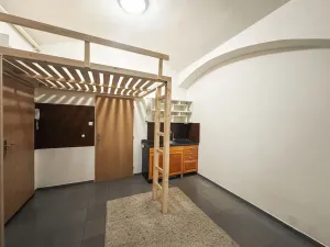 Pronájem bytu 1+kk, Praha - Smíchov, Holečkova, 20 m2