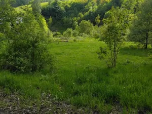 Prodej pozemku pro bydlení, Merklín, 1763 m2
