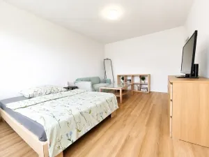 Pronájem bytu 1+kk, Ostrava, Nádražní, 27 m2