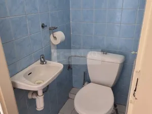 Pronájem bytu 4+1, Praha, Na Březince, 119 m2