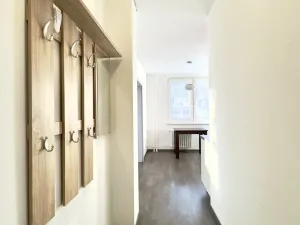 Pronájem bytu 1+1, Hodonín, Velkomoravská, 32 m2