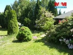 Prodej zahrady, Hronov, 5538 m2
